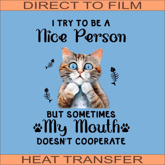 I Try To Be A Nice Person | Ready to Press Heat Transfer 9 x 11.5