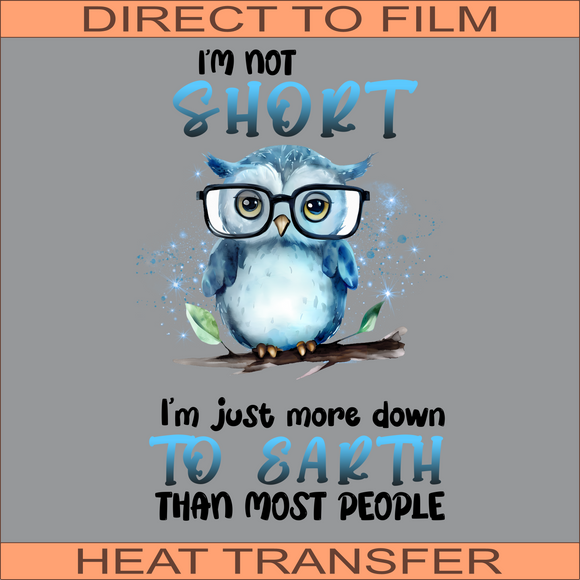 I'm Not Short | Ready to Press Heat Transfer 9.5