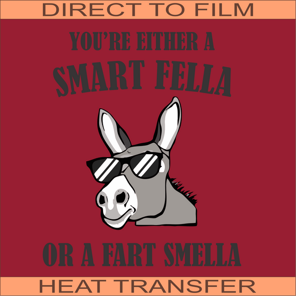 Smart Fella | Ready to Press Heat Transfer 9