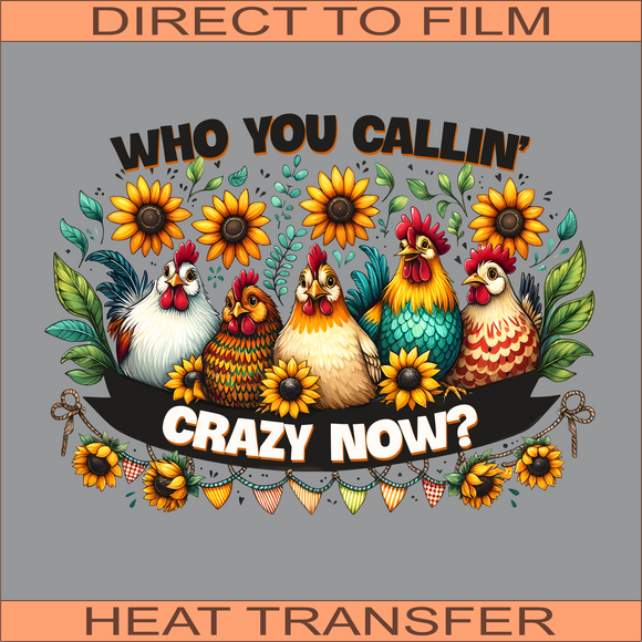 Who You Callin' Crazy Now | Ready to Press Heat Transfer  10