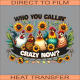 Who You Callin' Crazy Now | Ready to Press Heat Transfer  10" x  7.2"